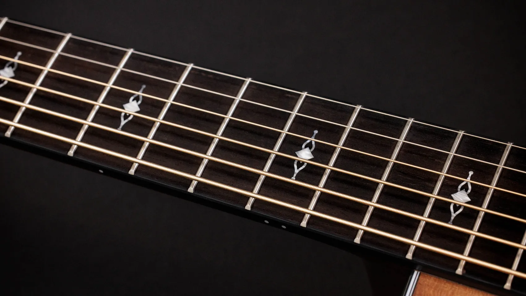 50th Anniversary 316ce Baritone-6 LTDSapeleアコースティック